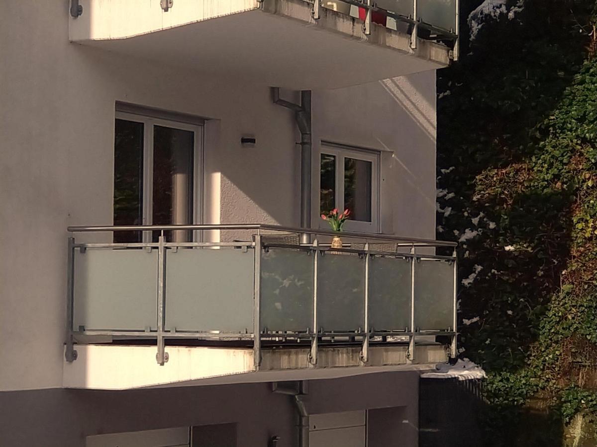 Ferienwohnung Am Wolfsweg Merzig Ngoại thất bức ảnh